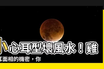 【雞嘴耳】小心耳型壞風水！雞嘴耳面相的機密，你不一定知道
