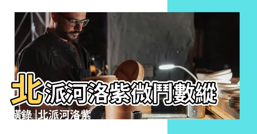 北派河洛紫微鬥數縱橫錄 |北派河洛紫微鬥數縱橫錄 |北派河洛紫微鬥數縱橫錄 |【河洛紫微鬥數縱橫錄】