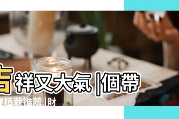 【什麼花代表財運】吉祥又大氣 |個帶好運植栽推薦 |財運滾滾不是夢 |