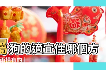 【屬狗的人不適合五行中的哪個方向】屬狗的適宜住哪個方向 |雨揚有約 |快來看看十二生肖容易在哪方面發財 |