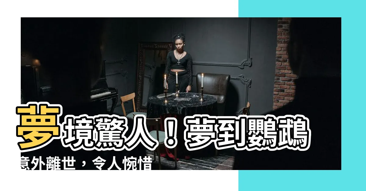 【夢到鸚鵡死掉】夢境驚人！夢到鸚鵡意外離世，令人惋惜