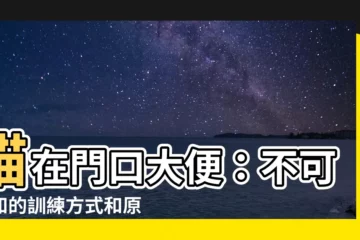 【貓在門口大便】貓在門口大便：不可不知的訓練方式和原因分析