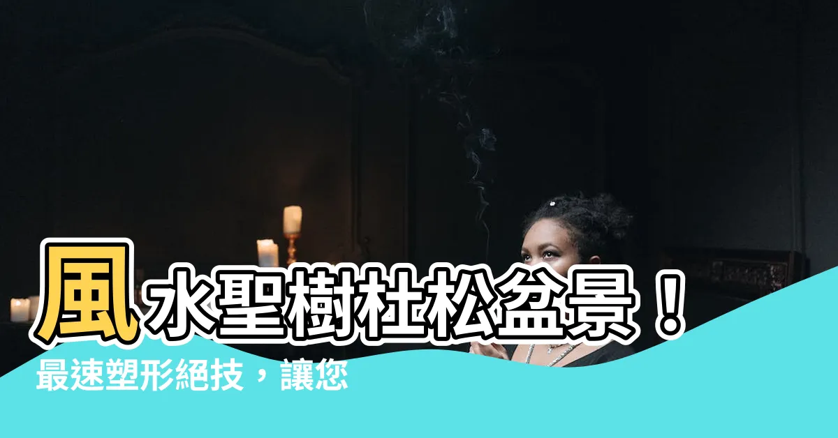 【杜松風水】風水聖樹杜松盆景！最速塑形絕技，讓您家財運亨通、招財進寶
