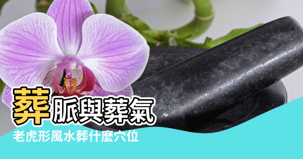 【風水虎葬王字】葬脈與葬氣 |老虎形風水葬什麼穴位 |喝形七字訣 |