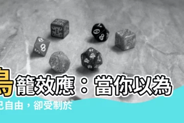 【鳥籠效應】鳥籠效應：當你以為自己自由，卻受制於看不見的枷鎖