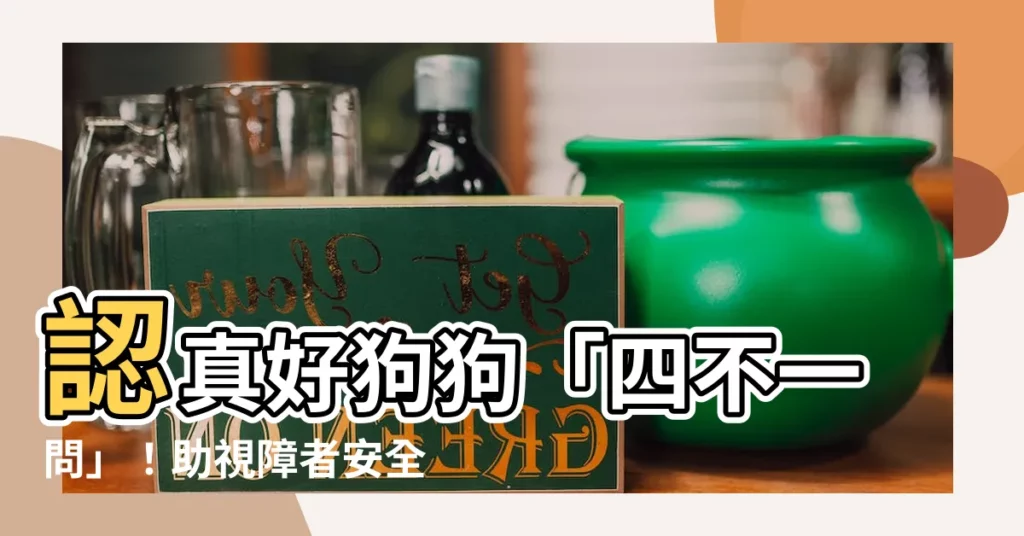 【四不一問】認真好狗狗「四不一問」！助視障者安全出行，提升互動品質