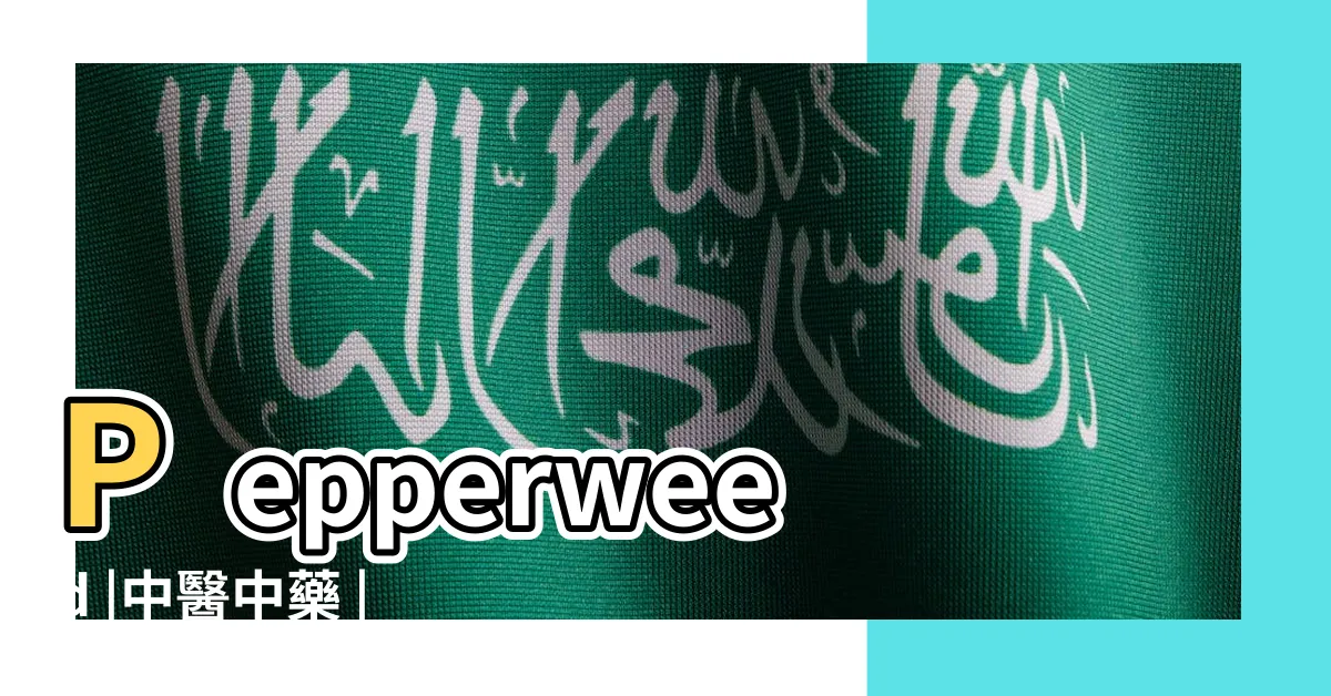 【槴子功效】Pepperweed |中醫中藥 |Seed |