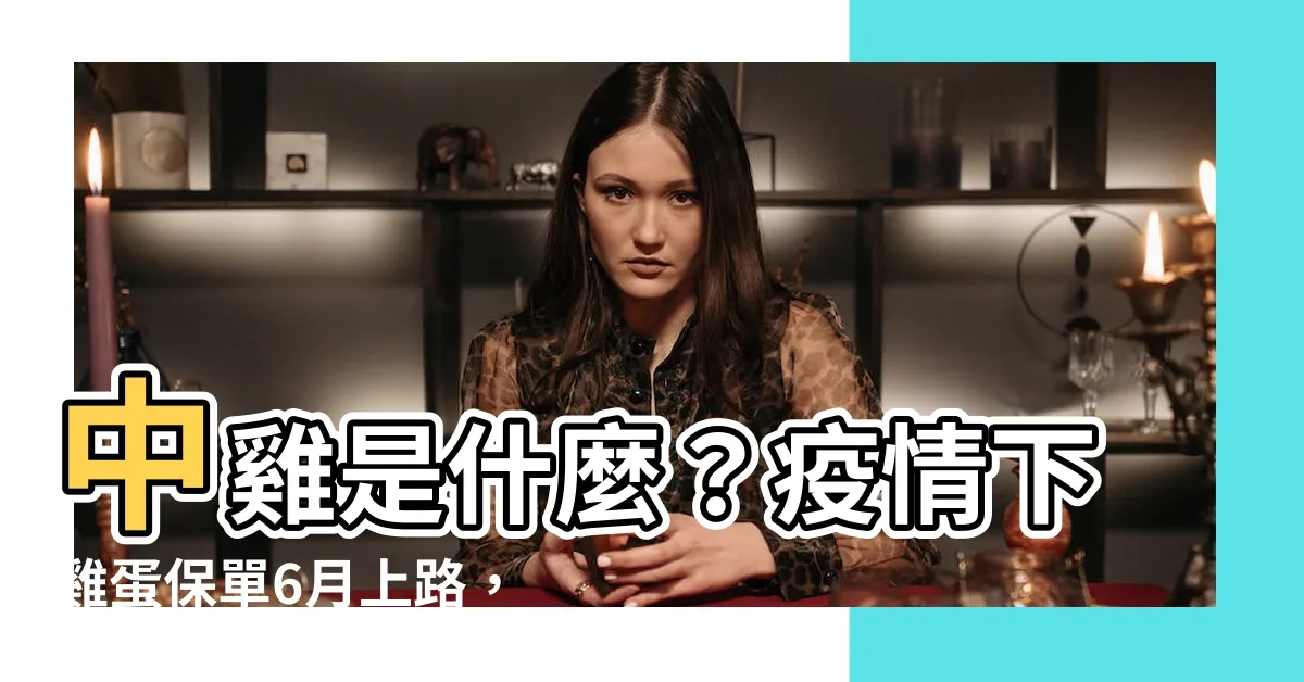 【中雞是什麼】中雞是什麼？疫情下雞蛋保單6月上路，農委會補助過半保費