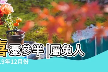 【2019年兔12月運勢】喜憂參半 |屬兔人2019年12月份運勢 |屬兔2019年運勢及運程2019年屬兔人的全年運勢 |