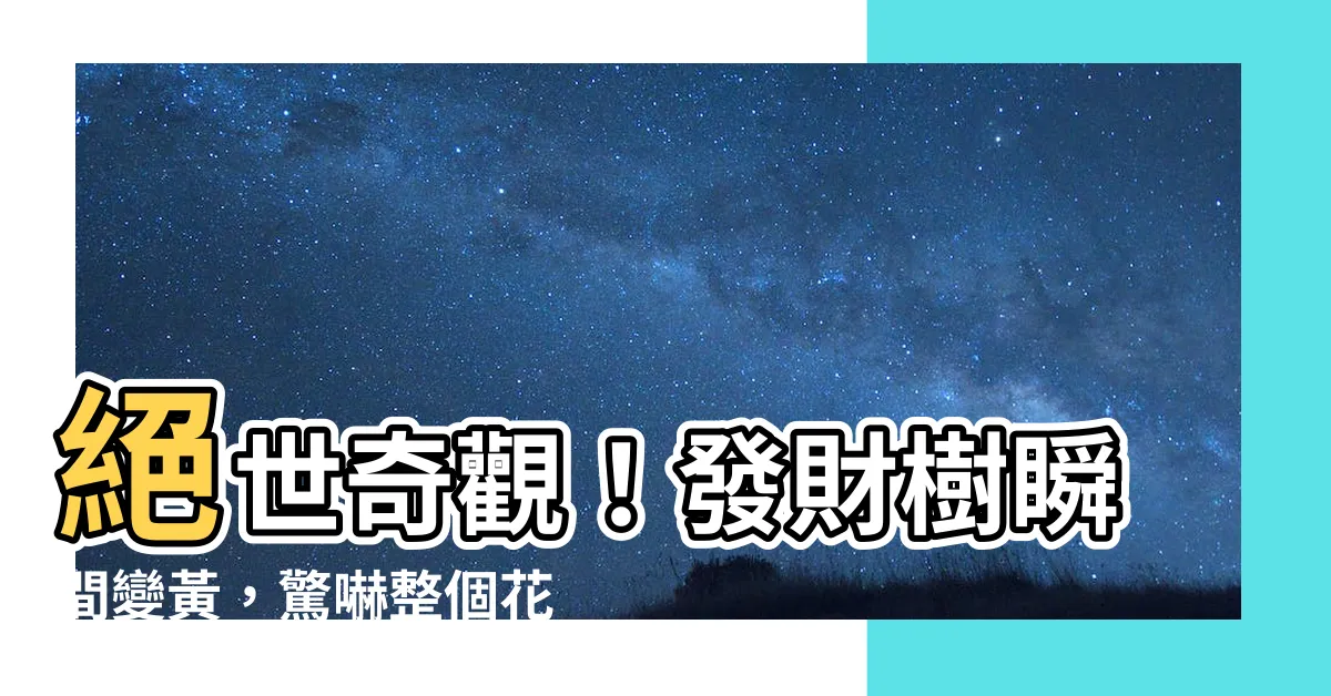 【發財樹變黃】絕世奇觀！發財樹瞬間變黃，驚嚇整個花園！急需拯救大作戰揭密！