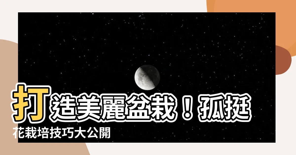 【孤挺花盆栽】打造美麗盆栽！孤挺花栽培技巧大公開