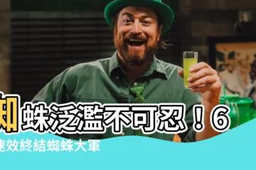 【蜘蛛太多】蜘蛛泛濫不可忍！6招速效終結蜘蛛大軍