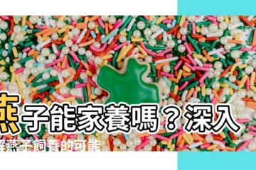 【燕子可以養嗎】燕子能家養嗎？深入瞭解燕子飼養的可能性