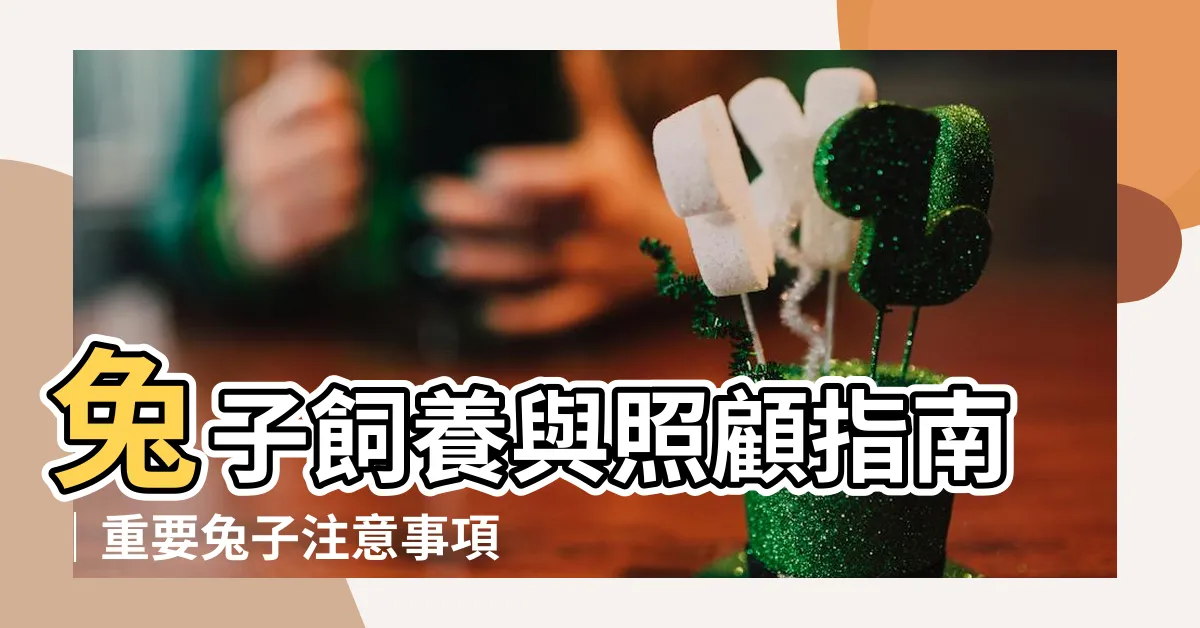 【兔子注意事項】兔子飼養與照顧指南｜重要兔子注意事項一次瞭解｜必備準備物品