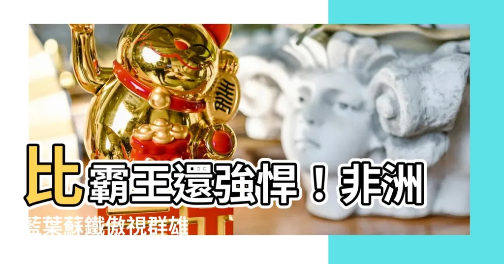 【非洲藍葉蘇鐵】比霸王還強悍!非洲藍葉蘇鐵傲視羣雄