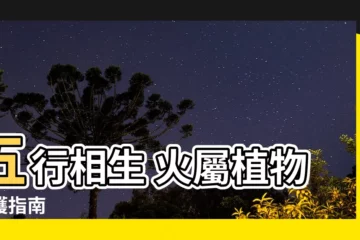 【屬火植物】五行相生 火屬植物養護指南