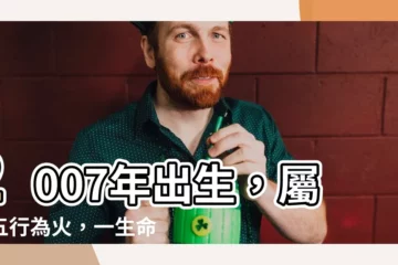【2007年出生】2007年出生，屬豬五行為火，一生命運如何？