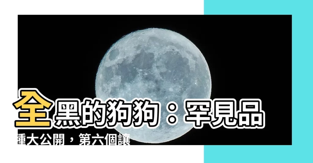 【全黑的狗】全黑的狗狗：罕見品種大公開，第六個讓人笑噴！