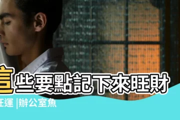 【2019年辦公室魚缸擺放位置】這些要點記下來旺財又旺運 |辦公室魚缸擺放位置辦公室進門口放魚缸好嗎 |普通人如何通過8個辦公室風水裝修技巧搶戰2019 |