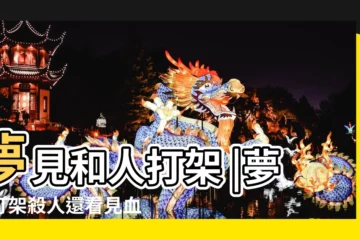 【夢見兩個司機打架】夢見和人打架 |夢見打架殺人還看見血 |夢見和司機打架是什麼意思 |