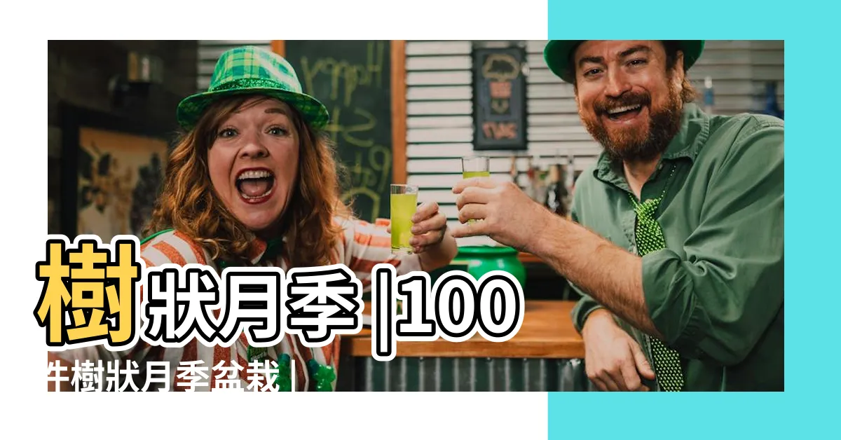 【樹狀月季花哪裡買】樹狀月季 |100件樹狀月季盆栽 |歐月庭院盆栽嫁接樹狀月季樹形樹樁月季玫瑰花苗大花植物 |