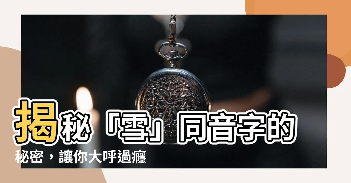 【雪同音字】揭秘「雪」同音字的秘密，讓你大呼過癮！