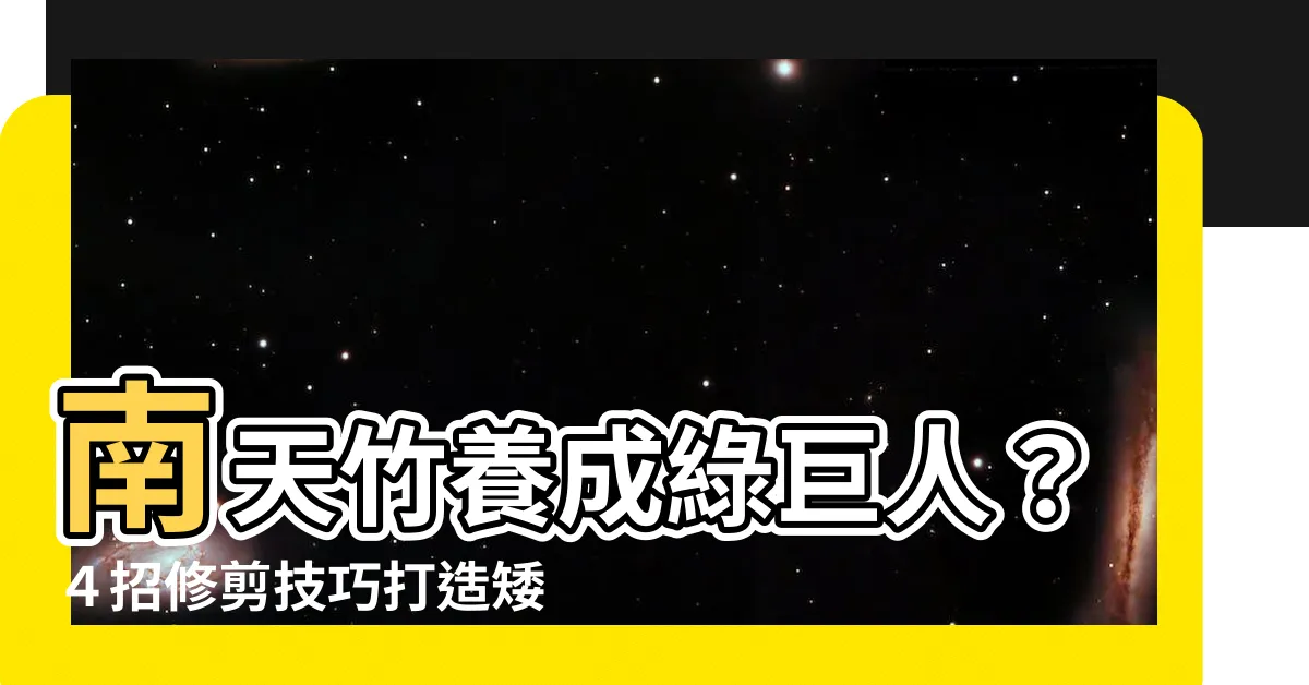 【南天竹修剪】南天竹養成綠巨人？４招修剪技巧打造矮化盆景
