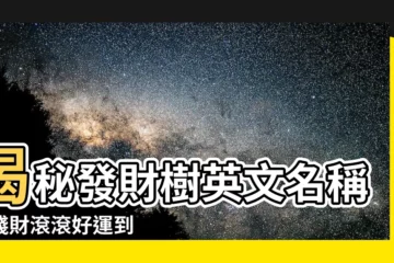 【發財樹英文】揭秘發財樹英文名稱：錢財滾滾好運到