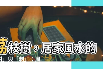 【荔枝樹 風水】荔枝樹，居家風水的「甜」與「刺」：風水禁忌一次看