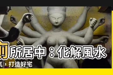 【廁所居中化解】廁所居中：化解風水煞氣，打造好宅