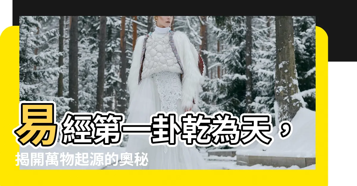 【第一卦】易經第一卦乾為天，揭開萬物起源的奧秘！