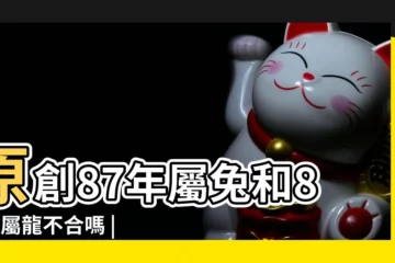 【1988年屬兔人的婚姻】原創87年屬兔和88年屬龍不合嗎 |87屬兔和88屬龍不合嗎 |有什麼説法 |