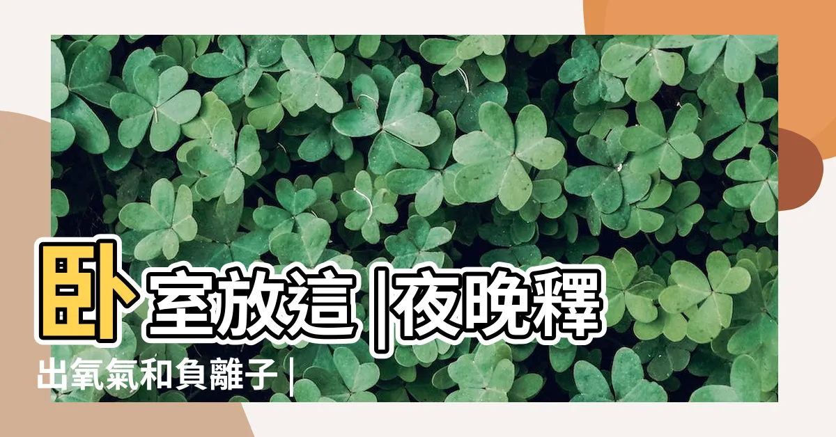【24小時製造氧氣的植物】卧室放這 |夜晚釋出氧氣和負離子 |盤點十種出氧量最高的植物 |