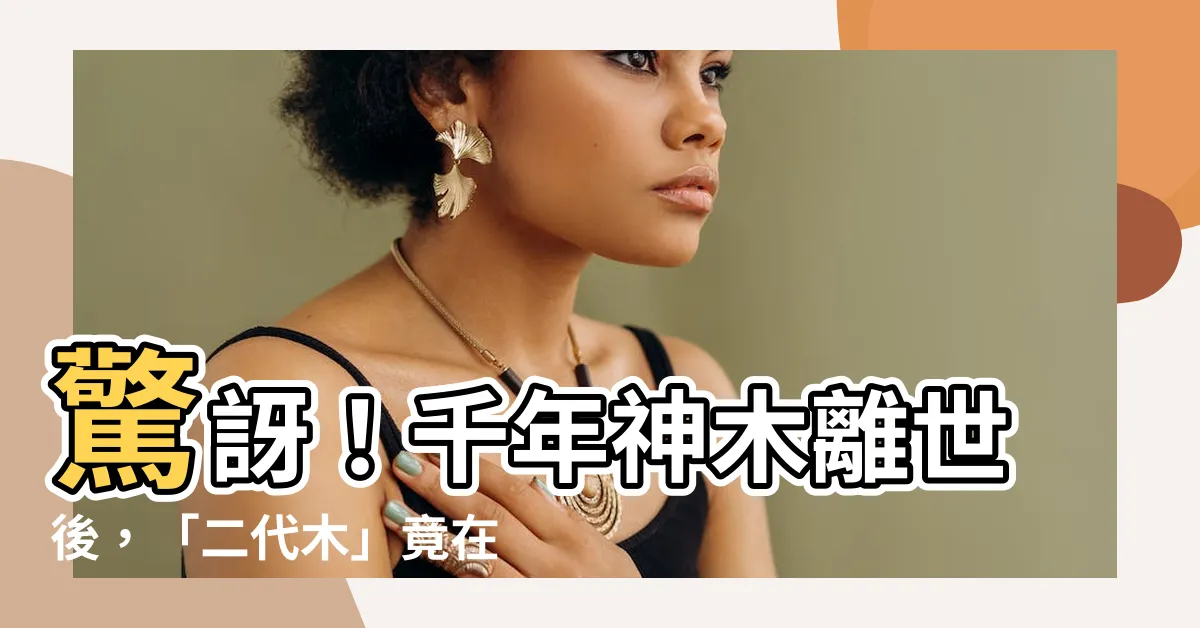 【二代木的意思】驚訝！千年神木離世後，「二代木」竟在這出現！它的含義別輕忽！