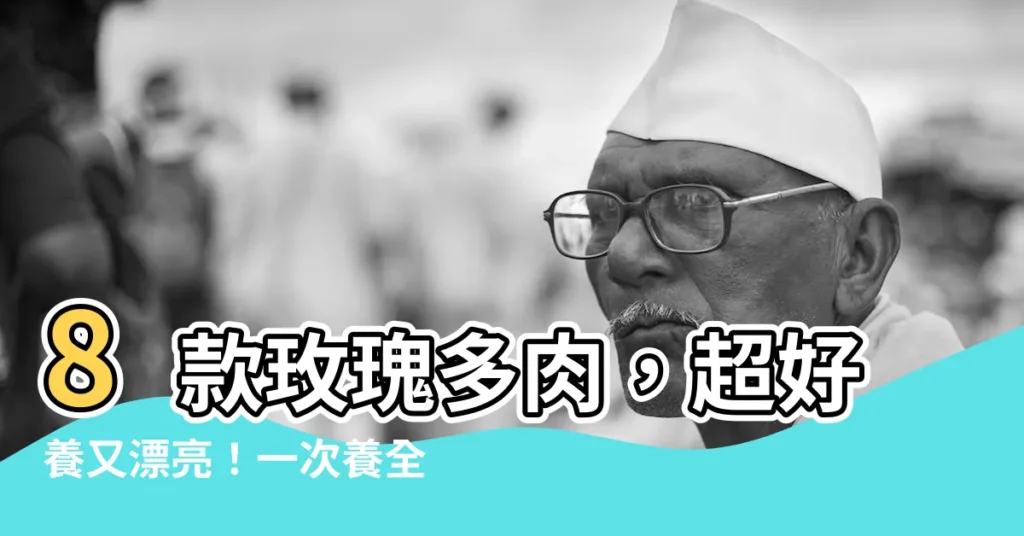 【玫瑰多肉】8款玫瑰多肉，超好養又漂亮！一次養全就是多肉大神！