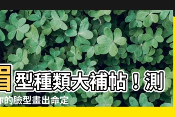 【眉型種類】眉型種類大補帖！測出你的臉型畫出命定眉