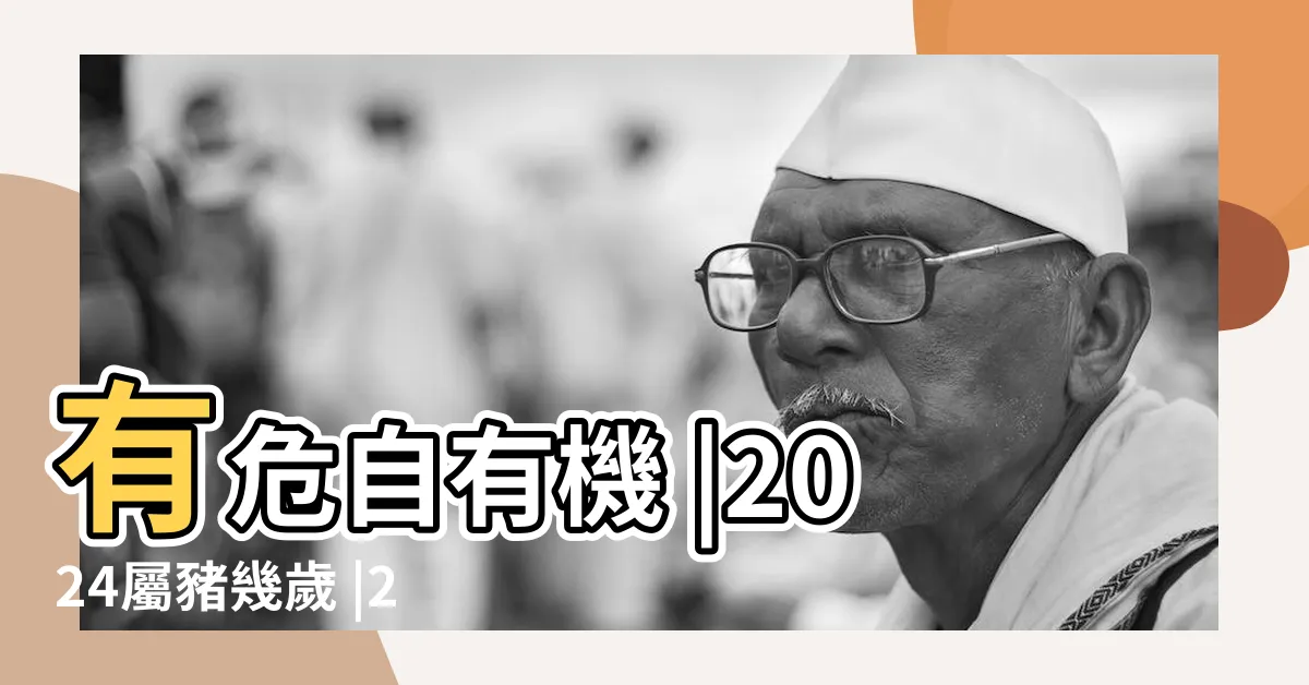 【屬豬2024運勢】有危自有機 |2024屬豬幾歲 |2024屬豬運勢 |