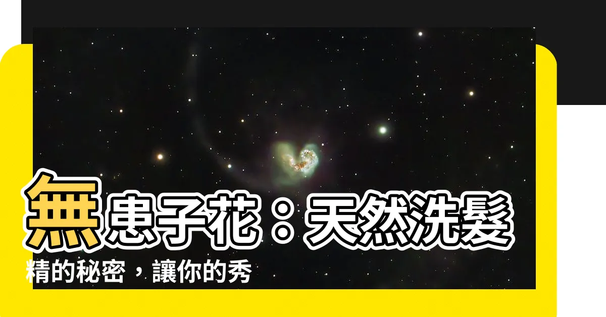 【無患子花】無患子花：天然洗髮精的秘密，讓你的秀髮回復自然光澤！