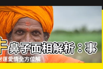 【牛鼻子面相】牛鼻子面相解析：事業財運愛情全方位解析！