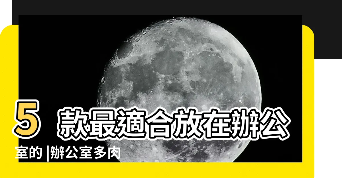 【辦公室 多肉植物】5款最適合放在辦公室的 |辦公室多肉 |放在桌上就招財 |