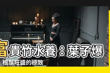 【富貴竹 水養】富貴竹水養：葉子爆綠、根鬚旺盛的極致秘訣！