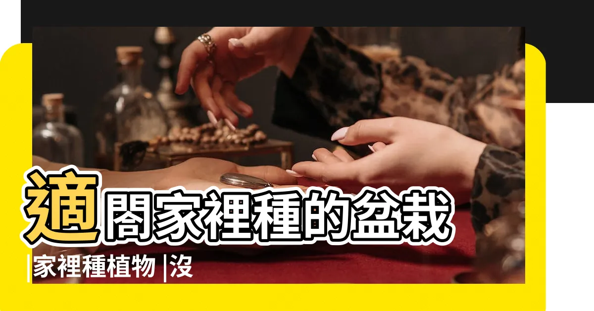 【家裡適合種什麼花】適閤家裡種的盆栽 |家裡種植物 |沒有後院沒關係 |