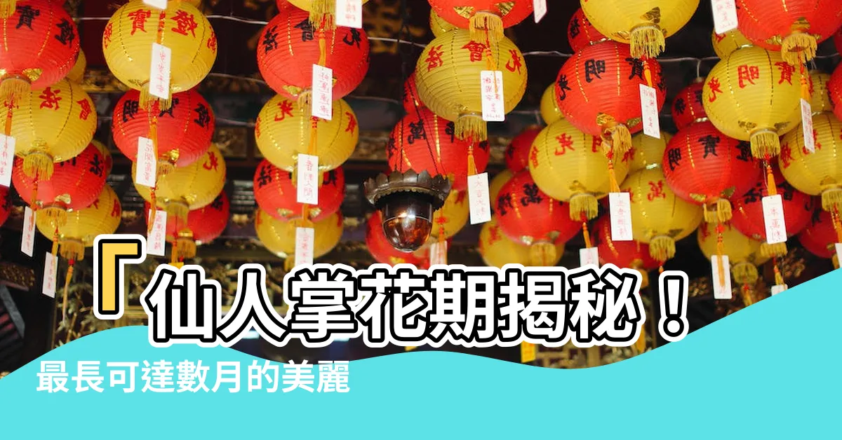 【仙人掌花期】「仙人掌花期揭秘！最長可達數月的美麗盛宴！」