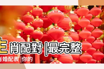 【婚姻屬相配對】生肖配對 |最完整生肖婚配表 |你的生肖配什麼最好 |