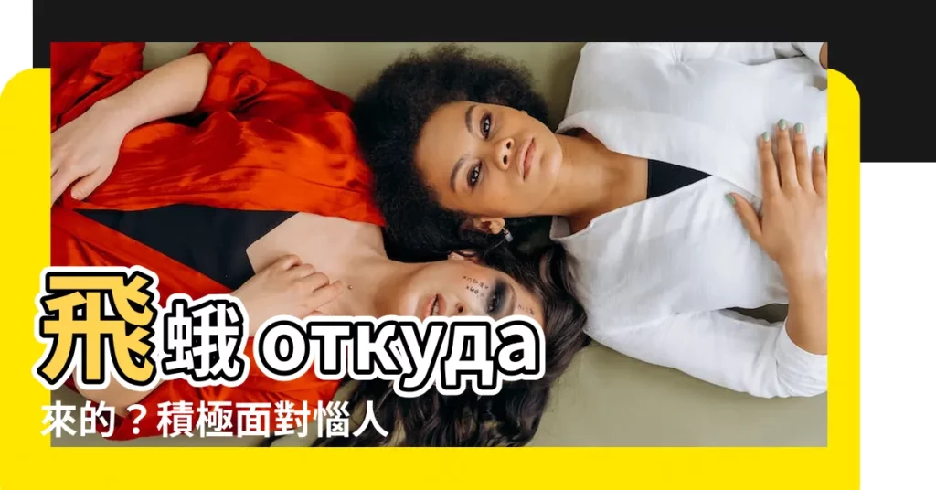 【飛蛾怎麼來的】飛蛾 откуда來的？積極面對惱人飛蛾大軍，杜絕蟲害入侵！