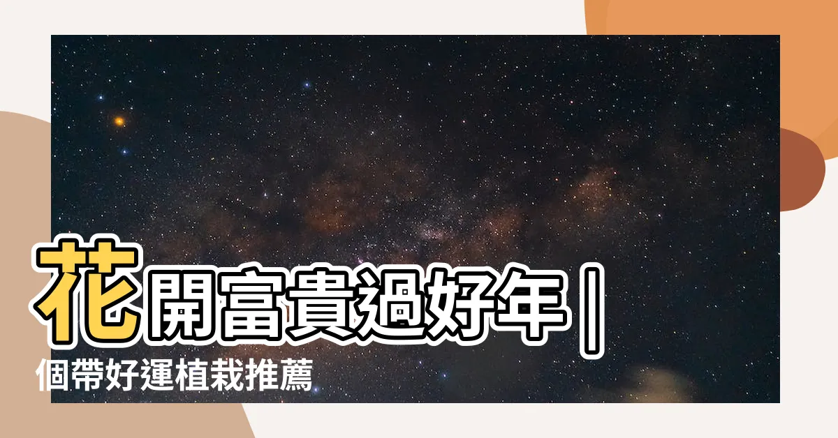 【發財樹 金錢樹】花開富貴過好年 |個帶好運植栽推薦 |不如一起栽培 |