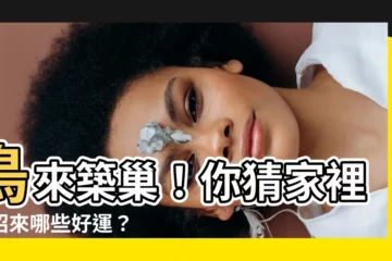 【鳥來築巢】鳥來築巢！你猜家裡會招來哪些好運？
