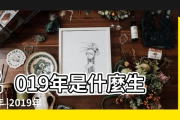 【2019什麼年屬什麼生肖】2019年是什麼生肖年 |2019年屬什麼生肖 |