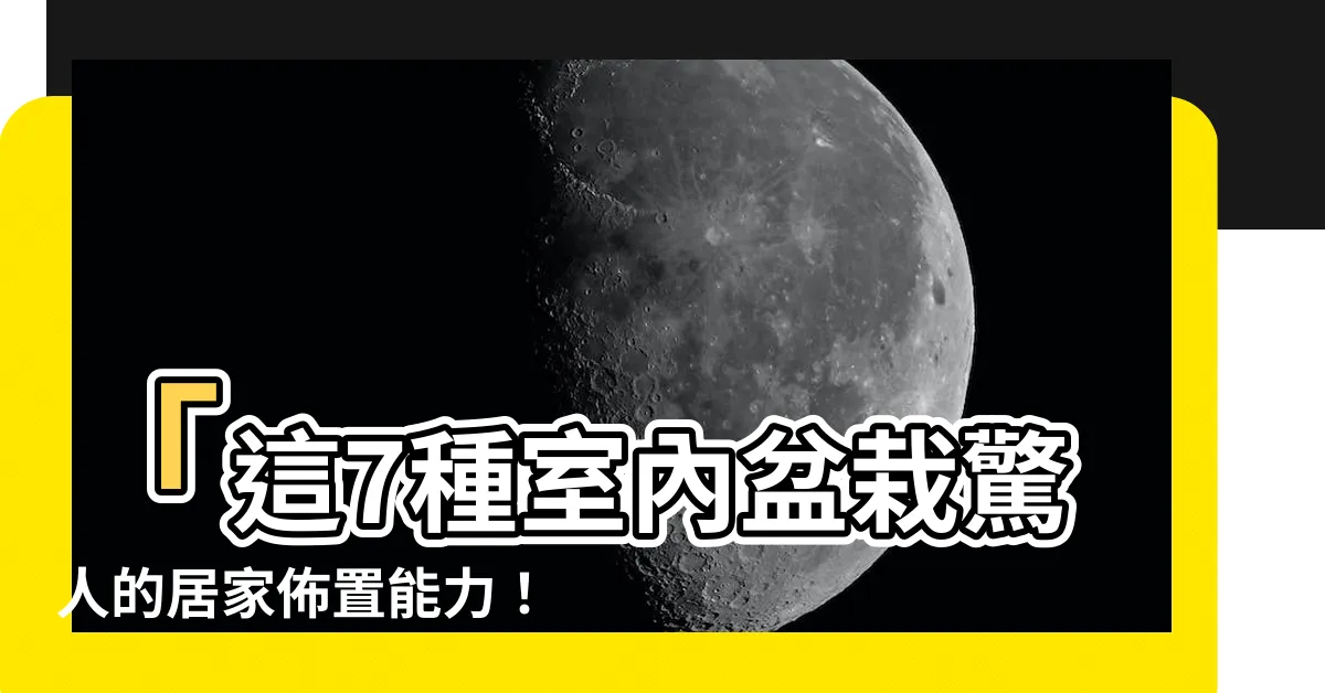 【盆栽 室內】「這7種室內盆栽驚人的居家佈置能力！馬上帶來室內綠意！」
