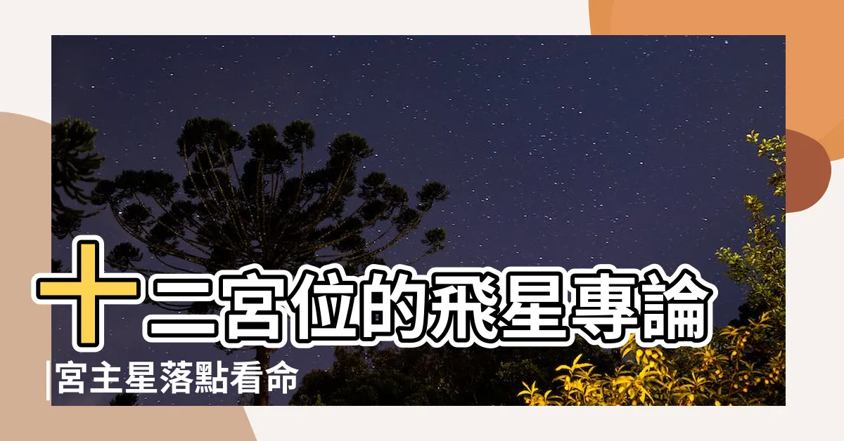 【二宮飛星】十二宮位的飛星專論 |宮主星落點看命運 |飛星12宮的簡易查詢 |